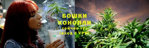 apvp Аркадак