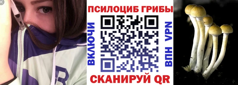 купить наркотики сайты  Северо-Курильск  Галлюциногенные грибы ЛСД 